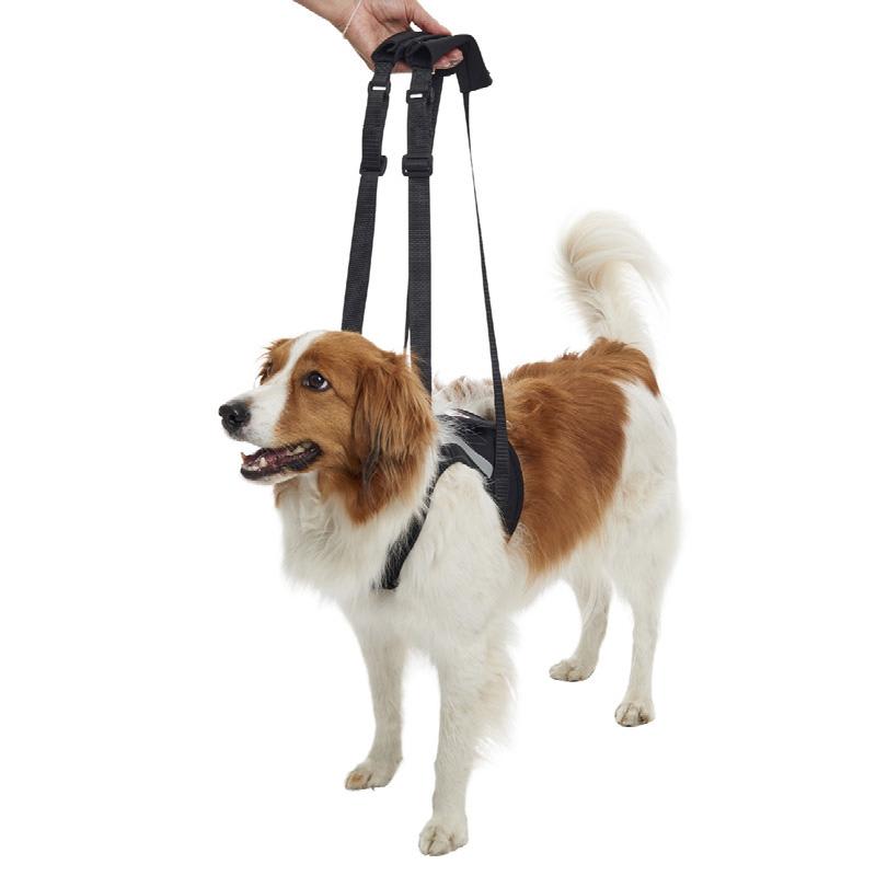 Rehab Lifting Harnesses for Front Legs, Black, Medium