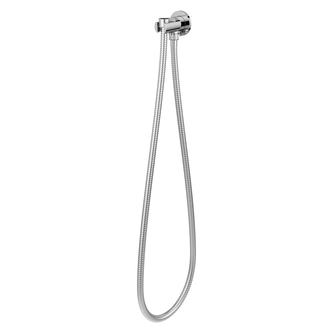 Modern Round 2-Piece Handheld Shower Kit with 60 in. Hose in Polished Chrome