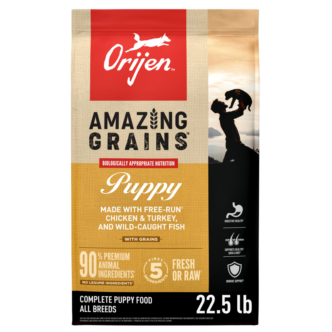 ORIJEN Amazing Grains High Protein Dry Dog Food Puppy Recipe