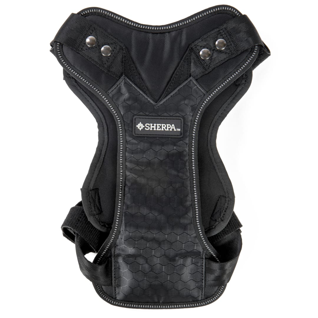 Sherpa Crash-Tested Multipurpose Seatbelt Dog Harness, Black, Medium