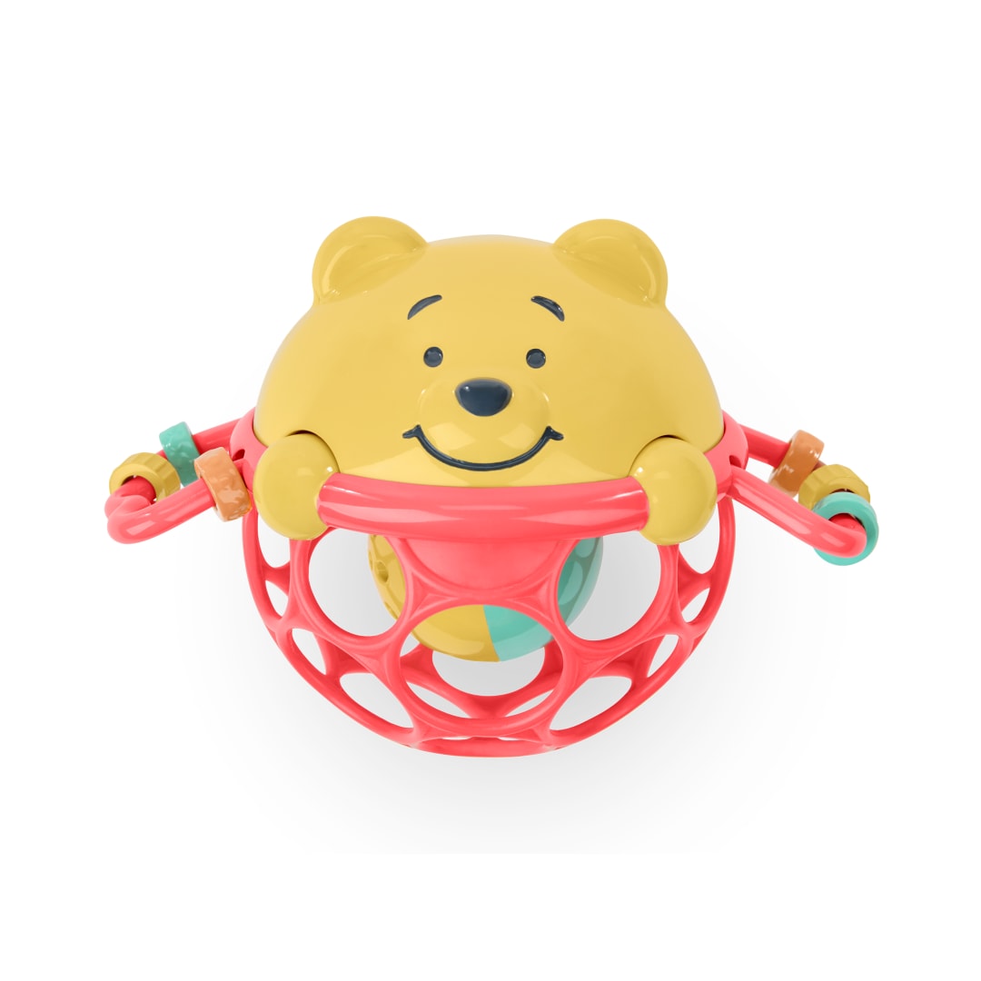 BS DB WTP JINGLE N SHAKE RATTLE TOY