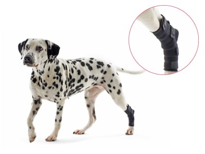 Rehab Hock Protector, Black, Large