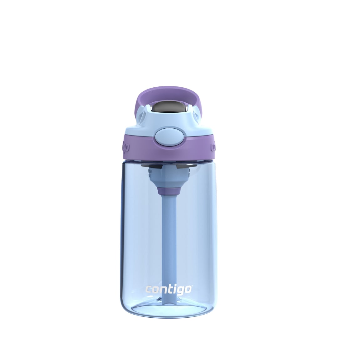 Contigo® Aubrey Leak-Proof Spill-Proof Water Bottle, Periwinkle & Amethyst, 14 oz