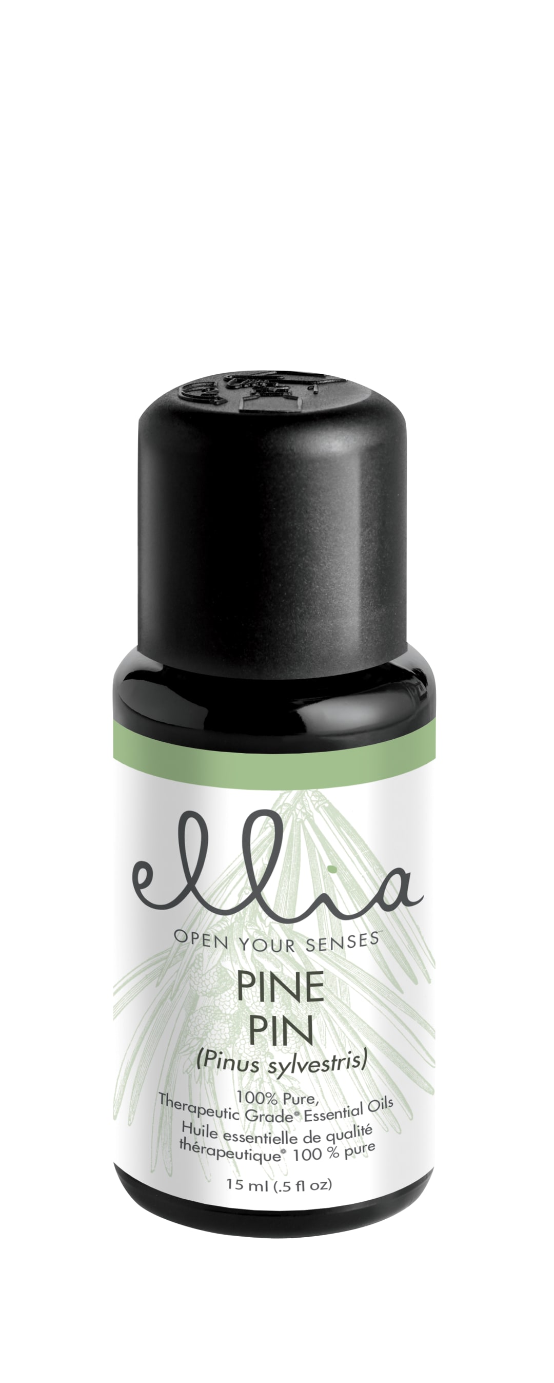 Pine Essential Oil 15Ml