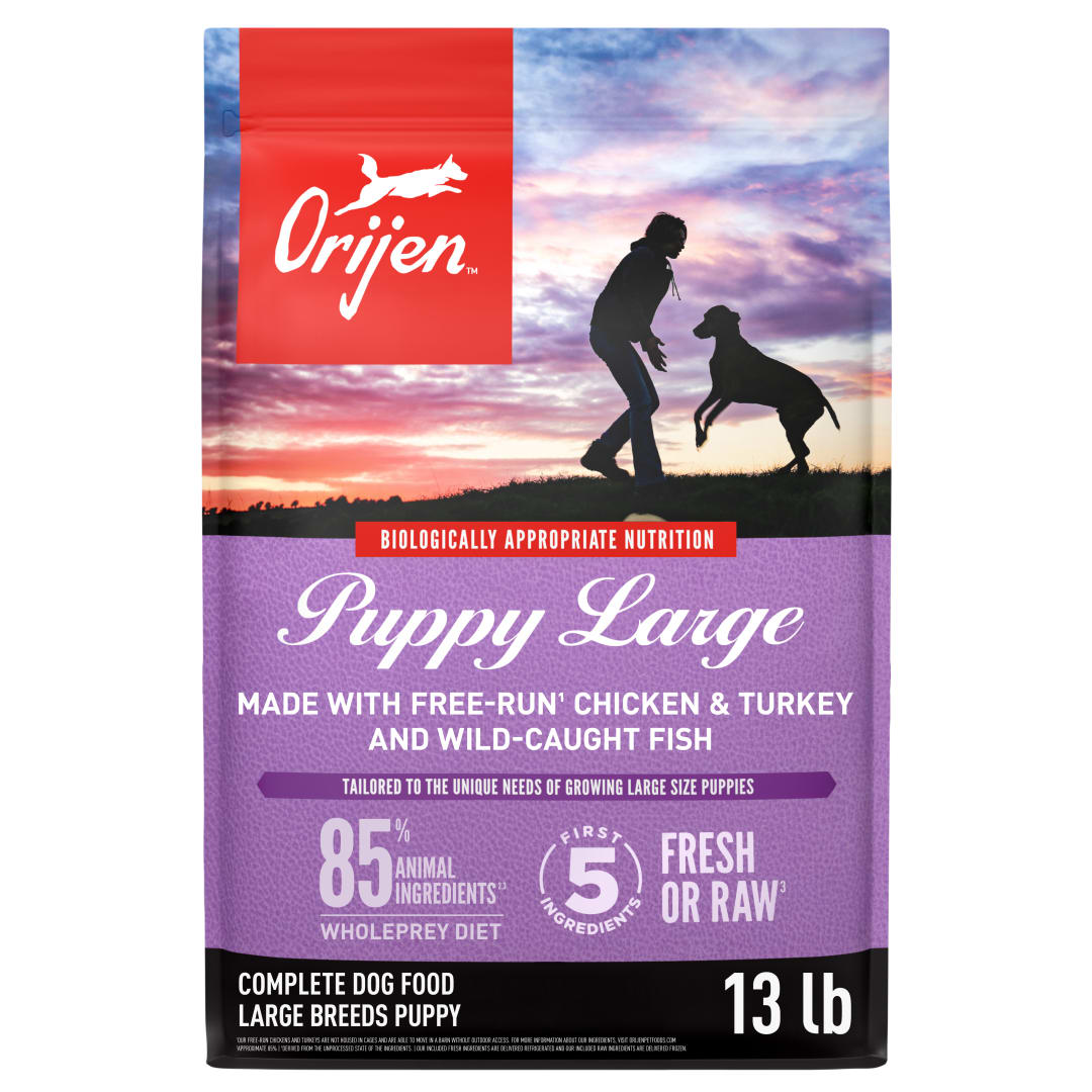 ORIJEN Grain Free High Protein Dry Dog Food Puppy Large Recipe
