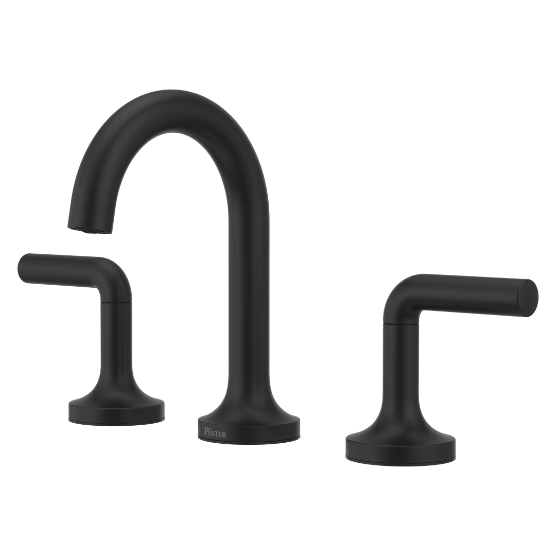 Zeelan 2-Handle 8" - 20" Widespread Bathroom Faucet in Matte Black