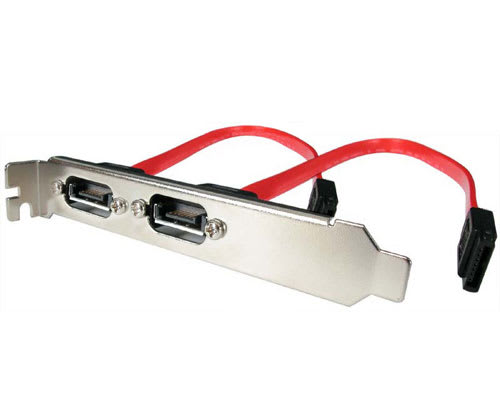 1 ft 2 outlet SATA internal-external slot plate
