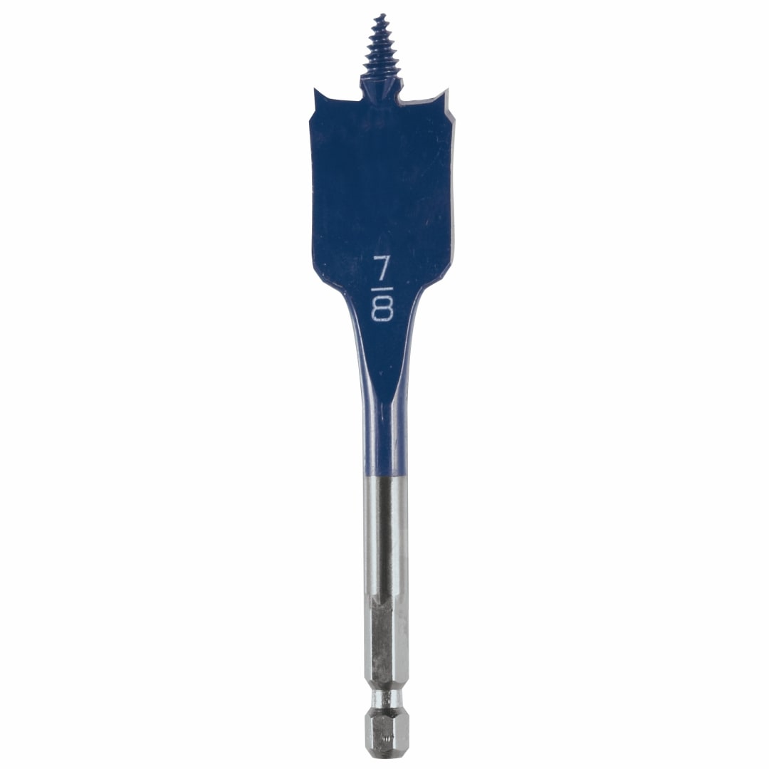 DSBS1011