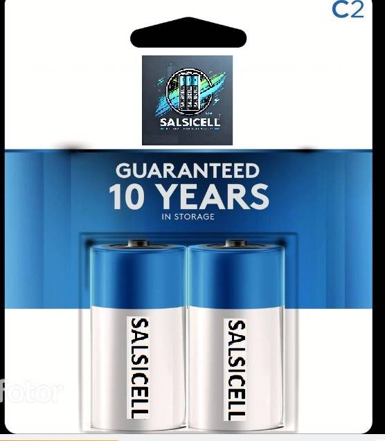 Solid State C Battery (2-Pack)