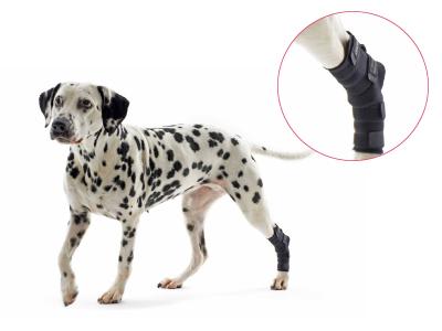 Rehab Hock Protector, Black, XX-Small