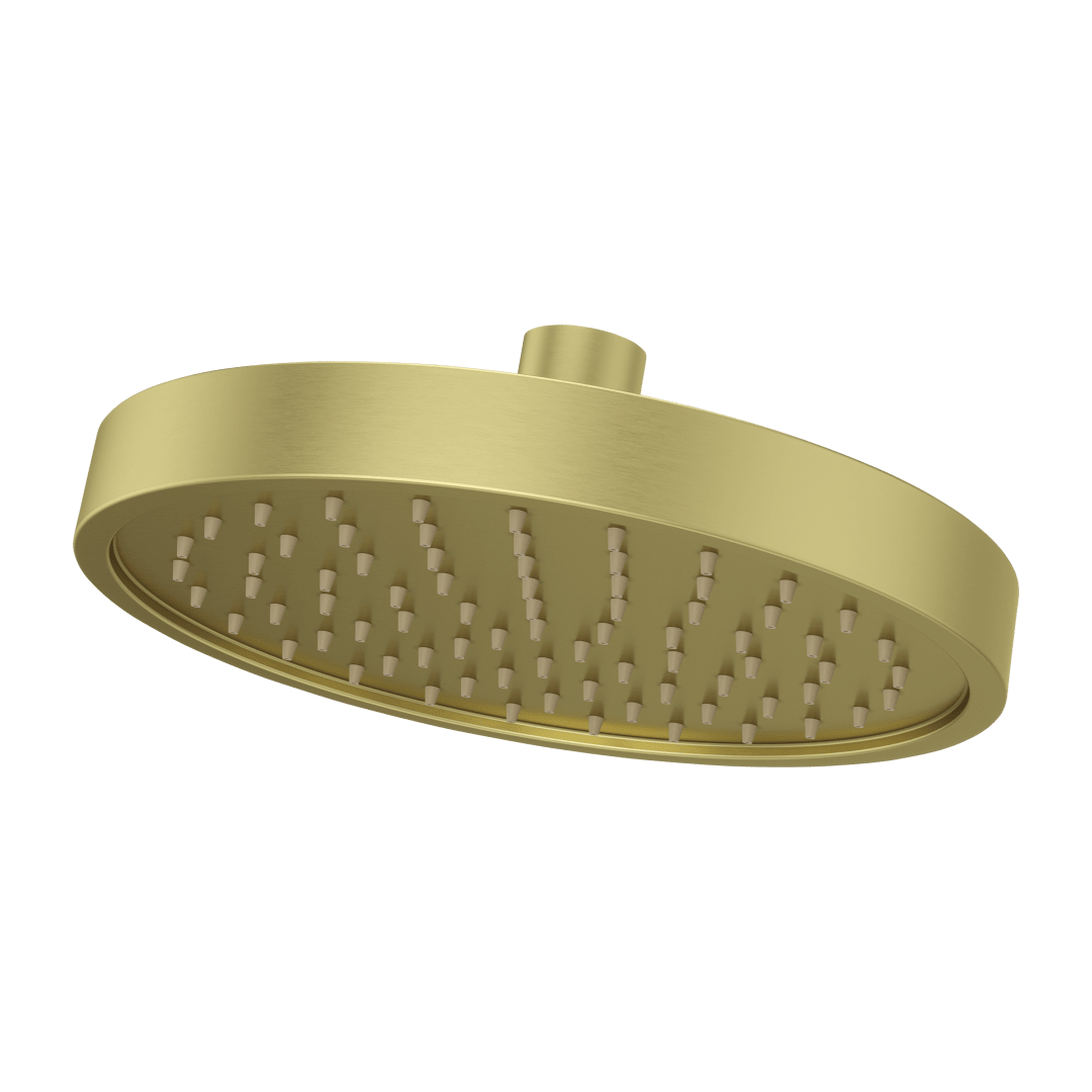 Contempra 1-Function Showerhead in Brushed Gold