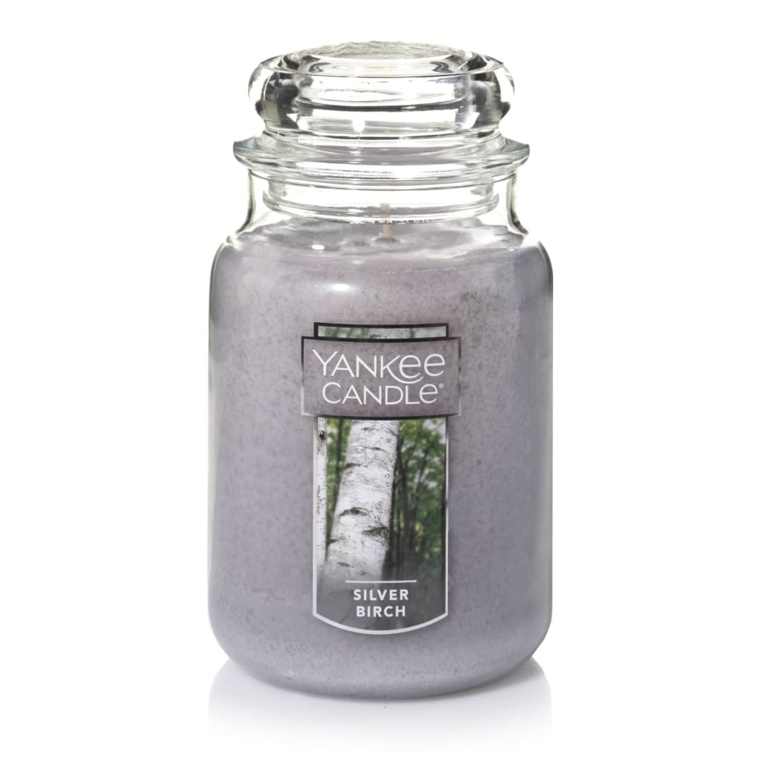 Yankee Candle® Silver Birch Scented Classic 22oz Large Jar Single Wick Aromatherapy Candle Over 110 Hours of Burn Time Apothecary Jar Fall Scented for Home
