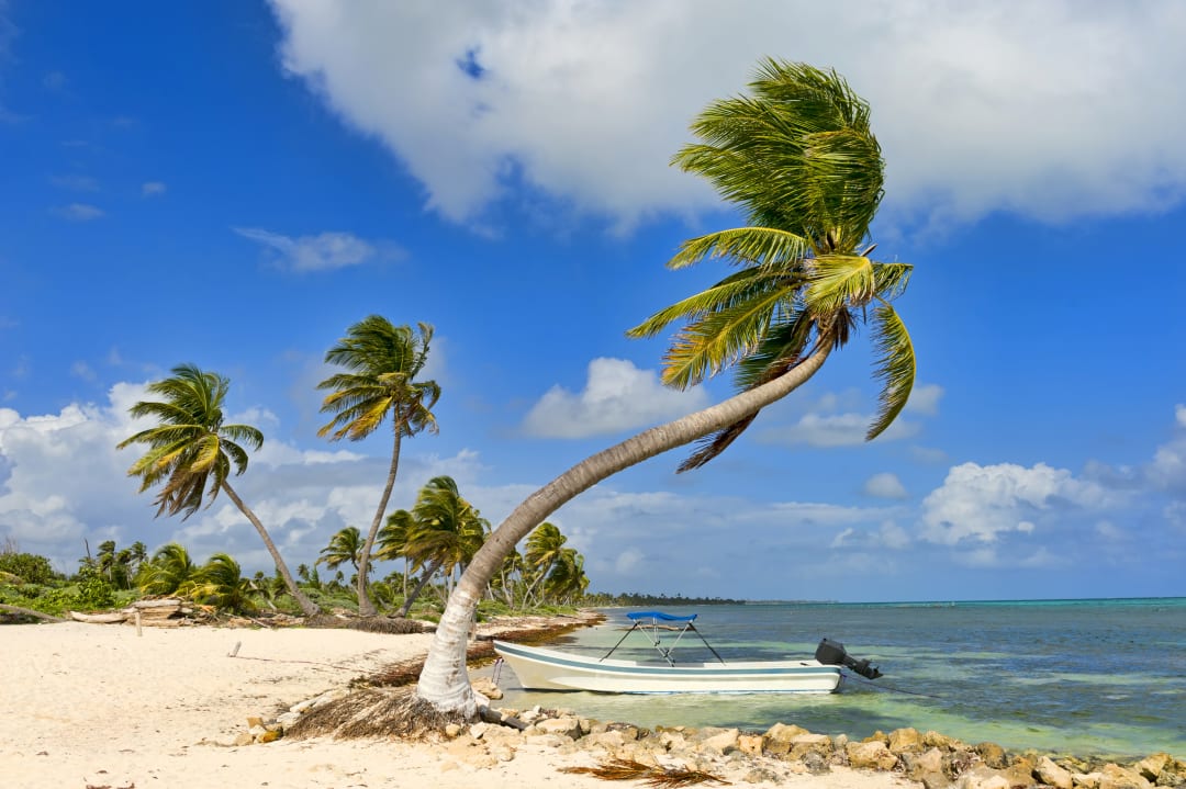 Costa Maya