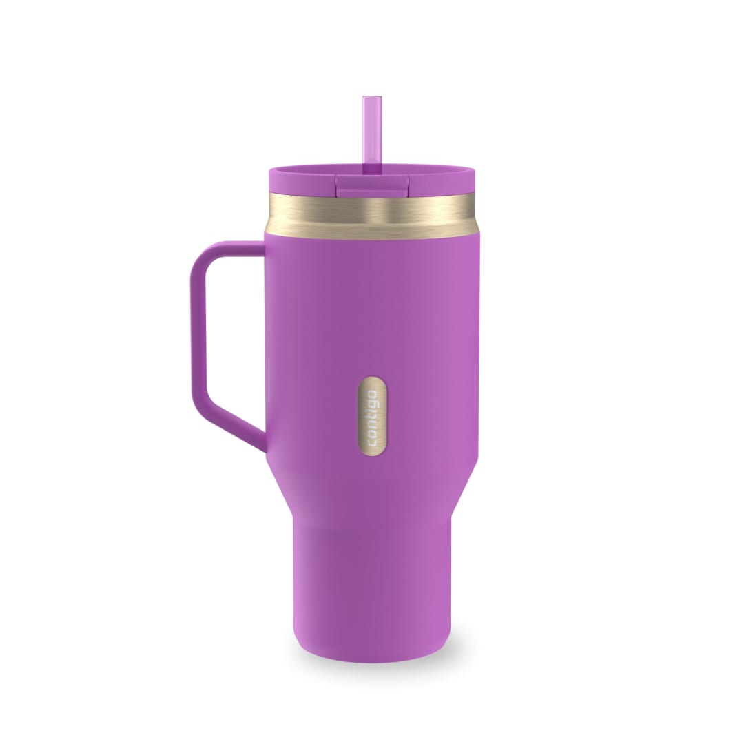 Contigo SnapSeal™ 30 oz Leakproof Travel Tumbler with Handle and Reusable Straw