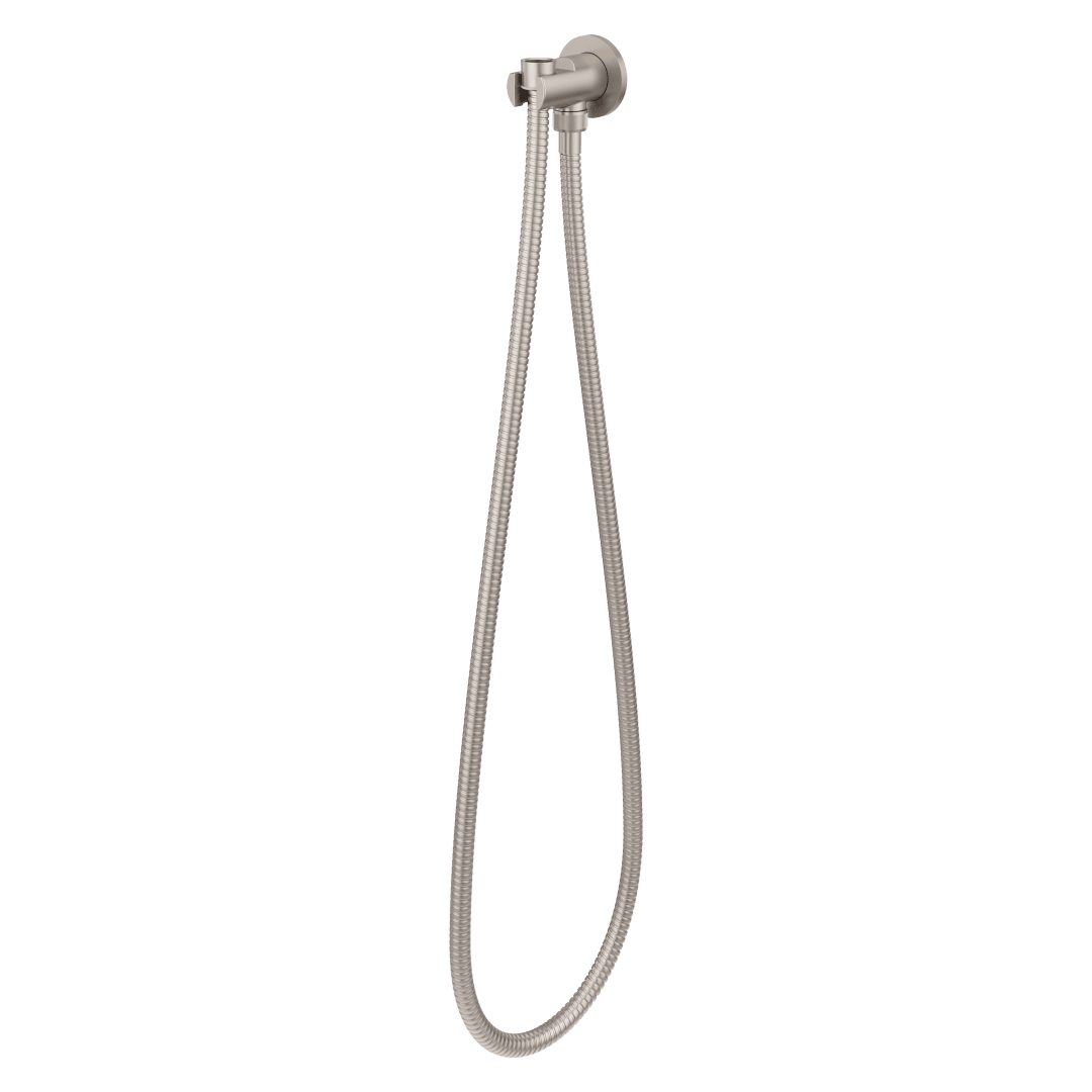 Modern Round 2-Piece Handheld Shower Kit with 60 in. Hose in Brushed Nickel