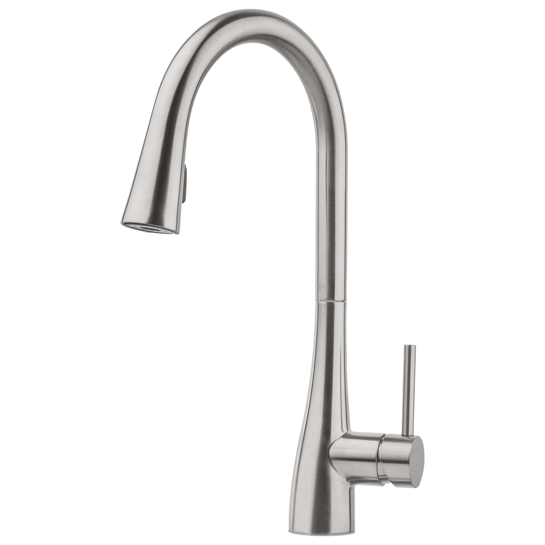 Aadaya 1-Handle Pull-Down Kitchen Faucet in Stainless Steel