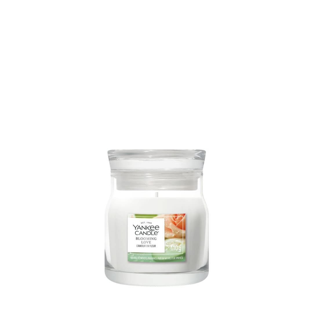 JAR-YCNC SM BLMNG LV YCE