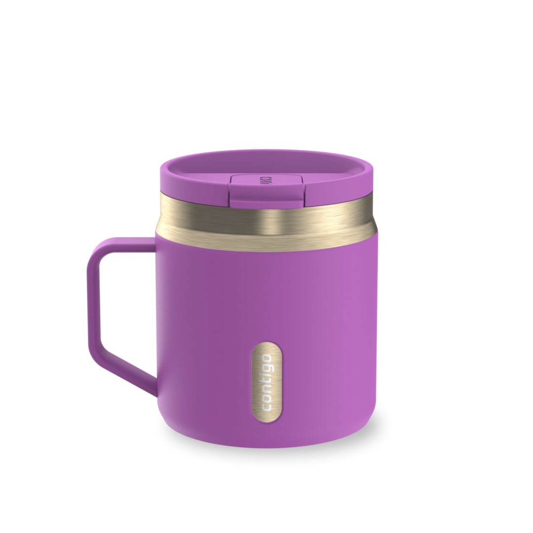 Contigo SnapSeal™ 14 oz Leakproof Stainless Steel Water Bottle