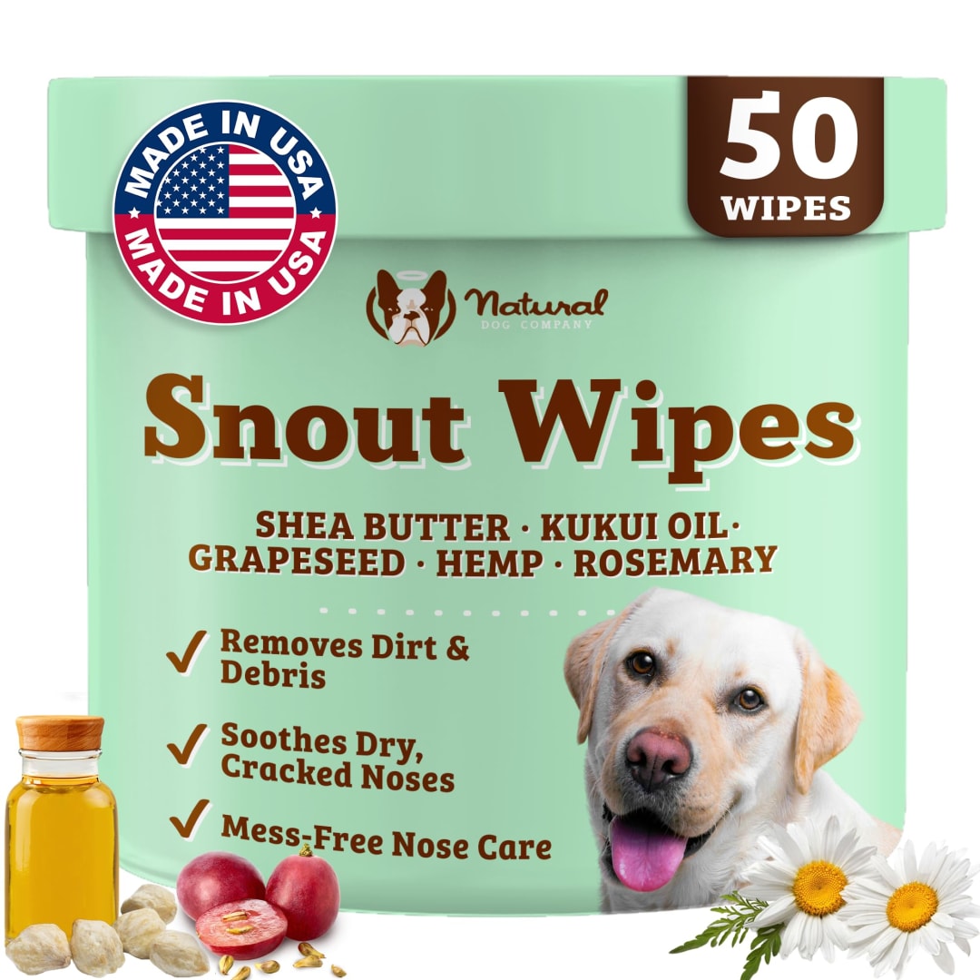 NDC Snout Wipes, 50ct Jar