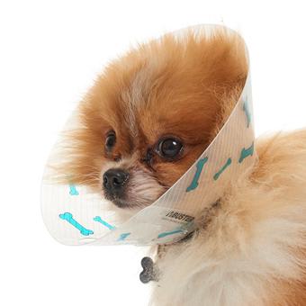 BUSTER Design Dog Collar, "Bones", Light Blue, 7.5cm