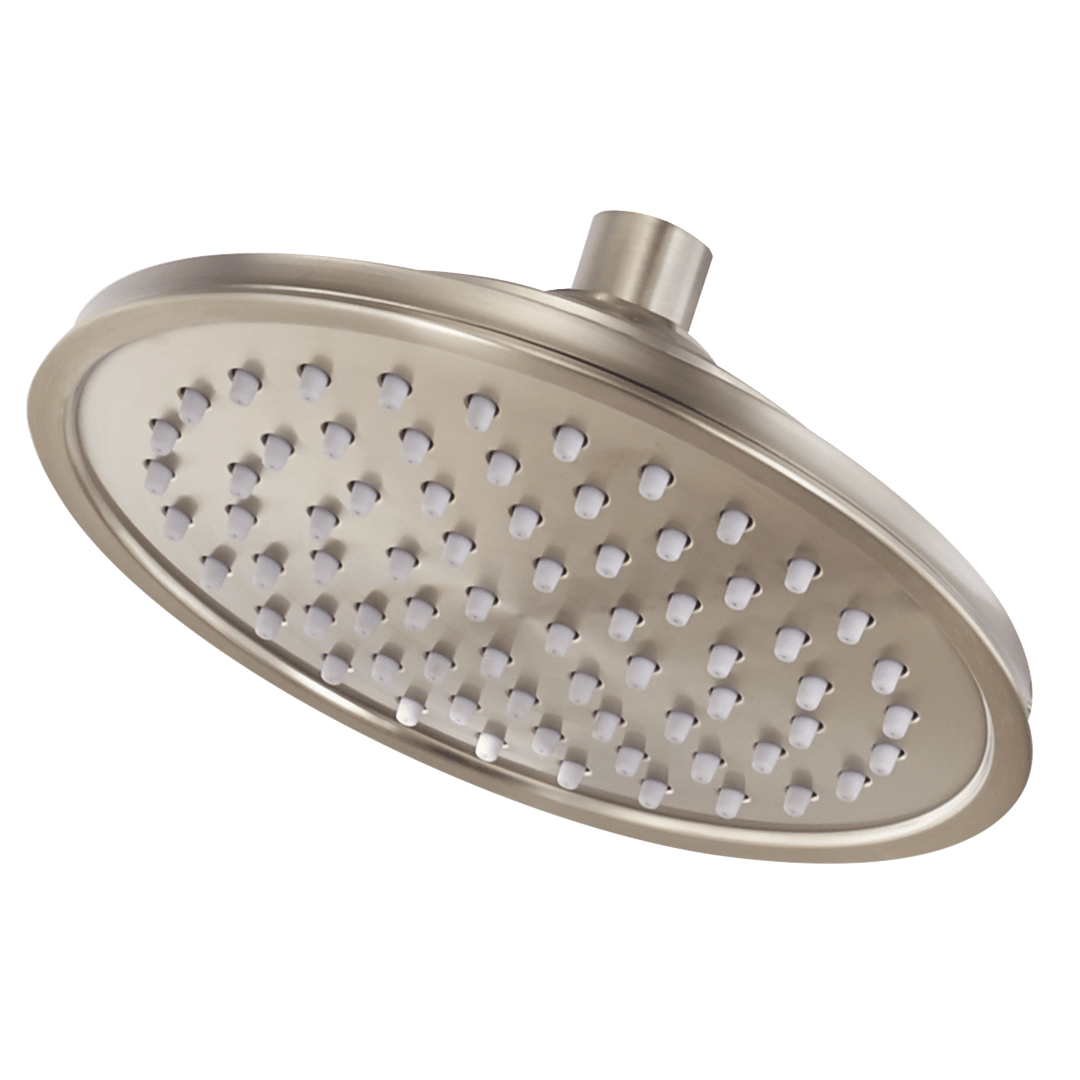 Saxton Raincan Showerhead in Brushed Nickel