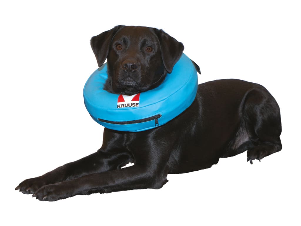 BUSTER Inflatable PVC Dog Collar, Blue, X-Large