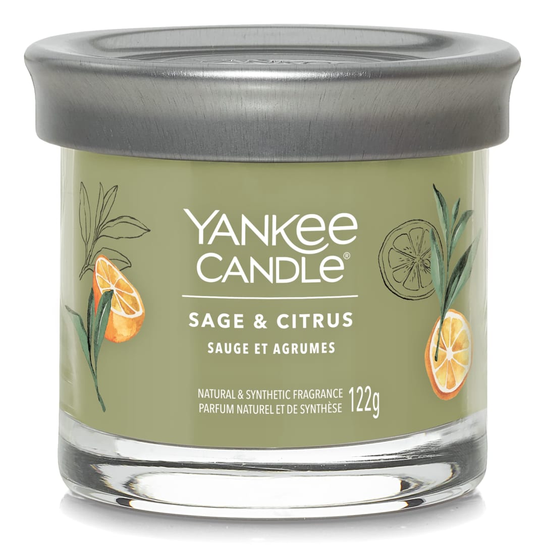 JAR-YCNT SM SG CTS YCE