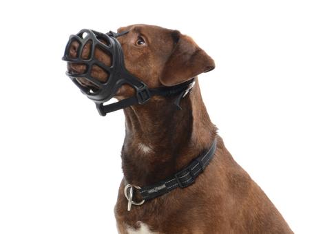 KRUUSE Extreme Dog Muzzle, Black, Size 6