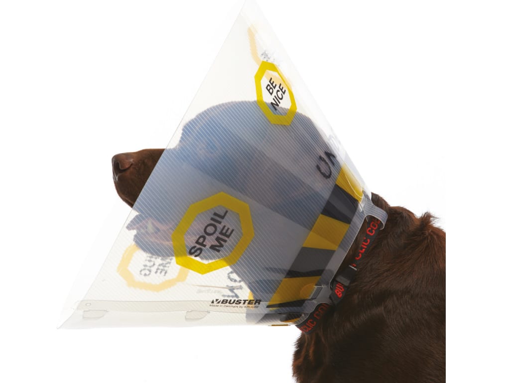 BUSTER Design Dog Collar, "Under Construction", Transparent/Yellow, 20cm