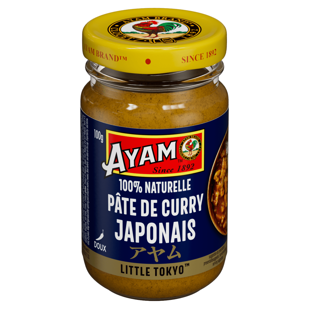 Japanese Curry Paste 12x100g