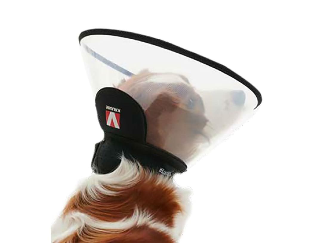 BUSTER Complete Collar, 20cm