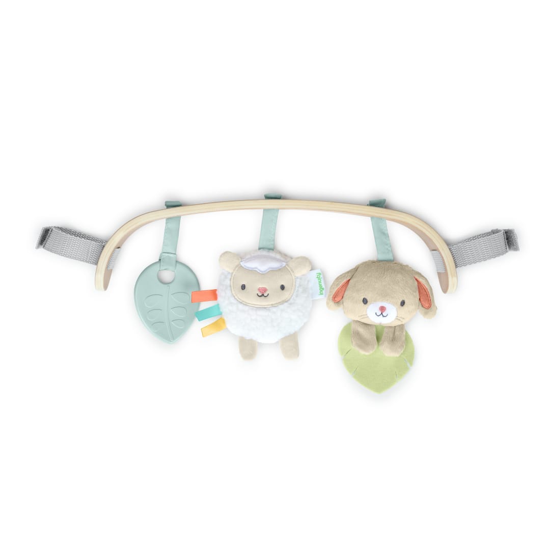 ING WONDER AND WOOD TOYBAR