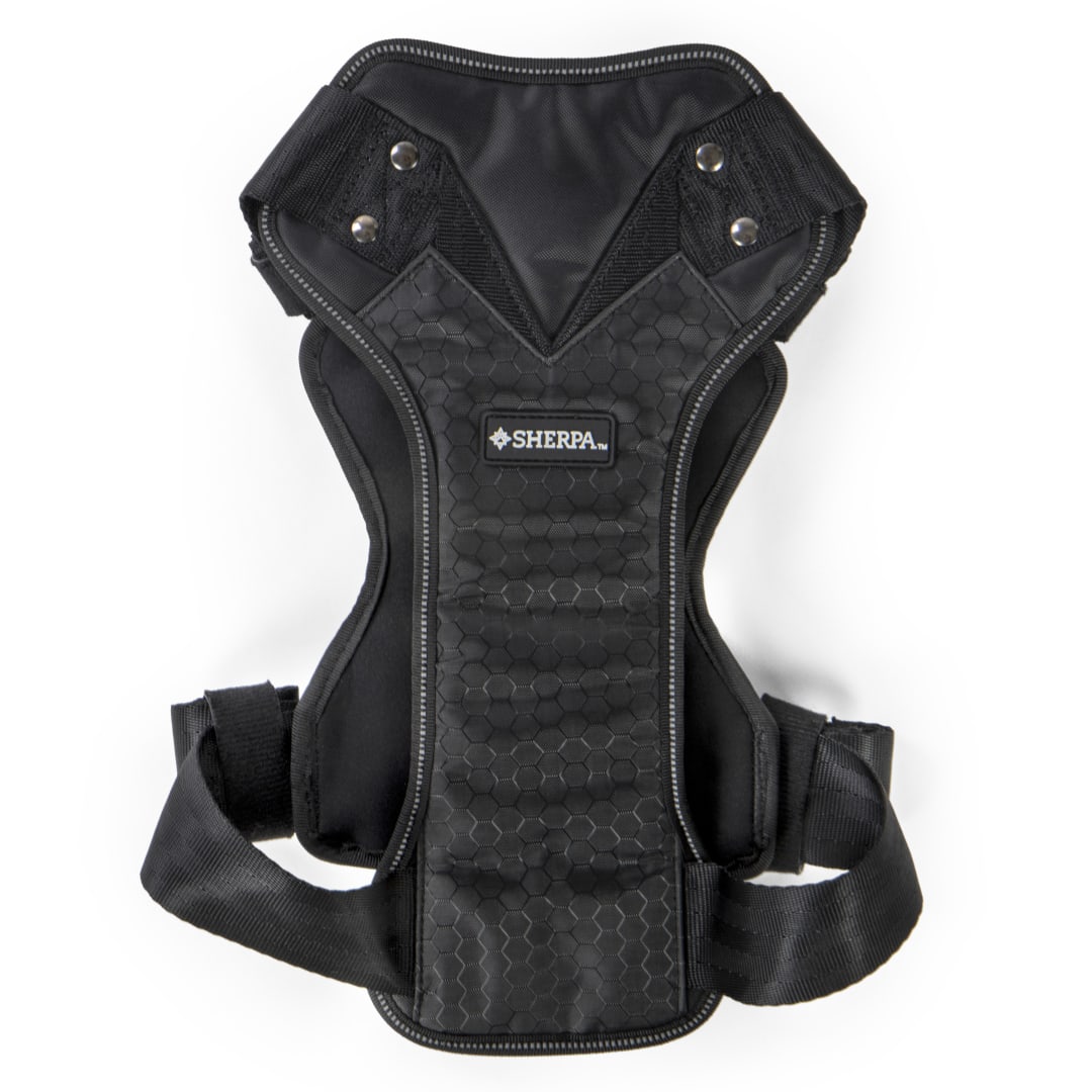 Sherpa Crash-Tested Multipurpose Seatbelt Dog Harness, Black, Extra Large