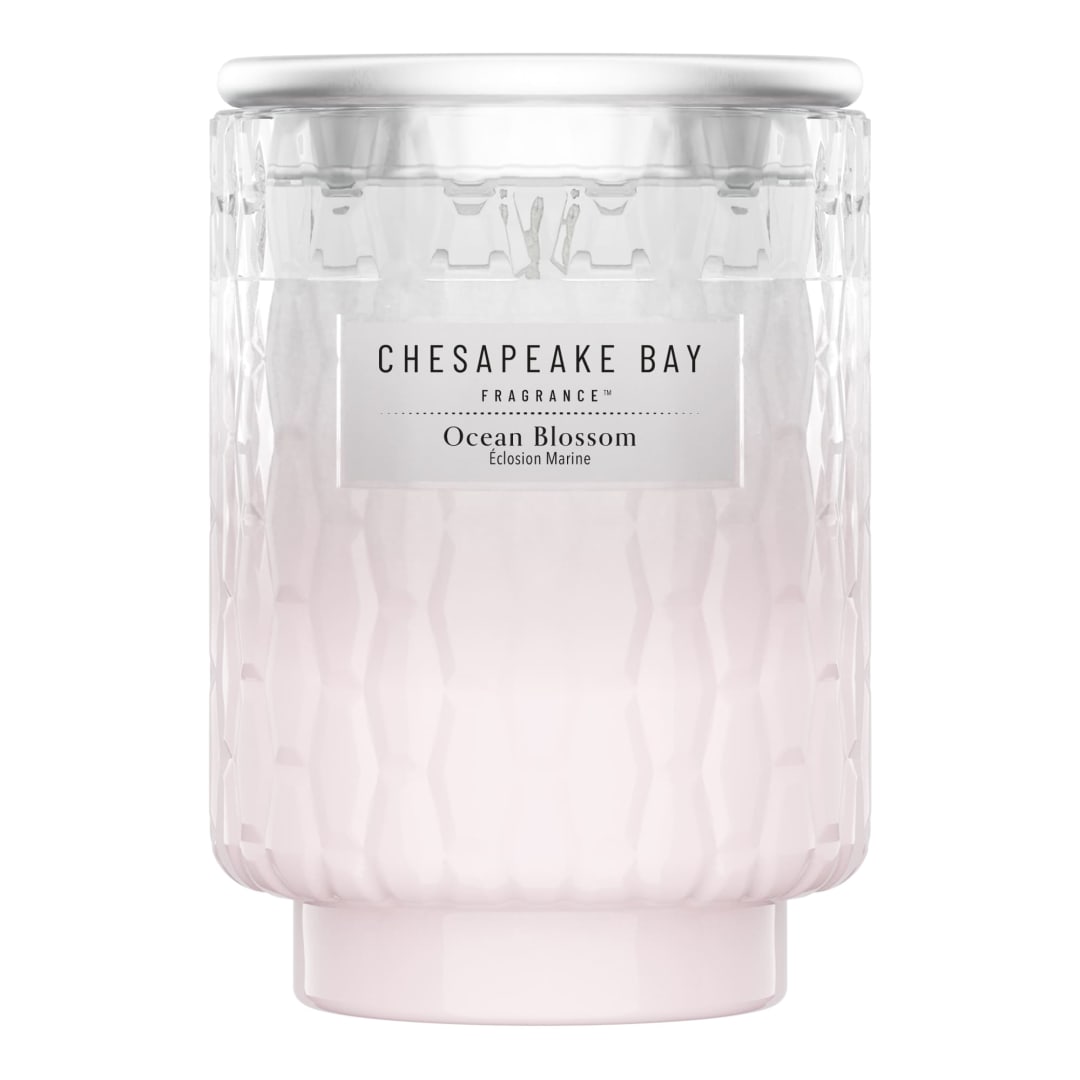 JAR-CBF MD OCN BLSM