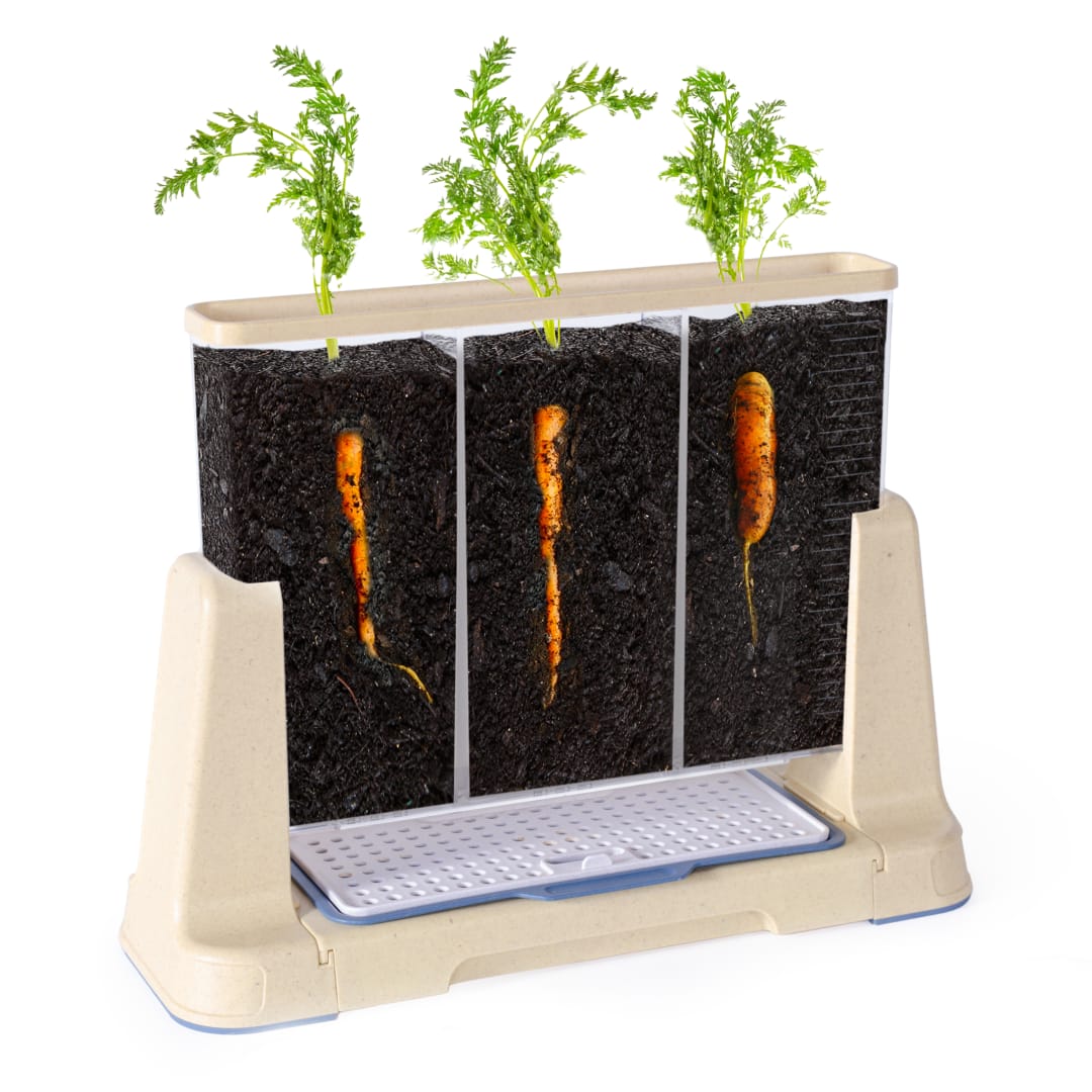Explore and Discover 3 Section Root View Planter