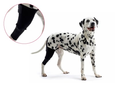 Rehab Knee Protectors, Left, Black, Small