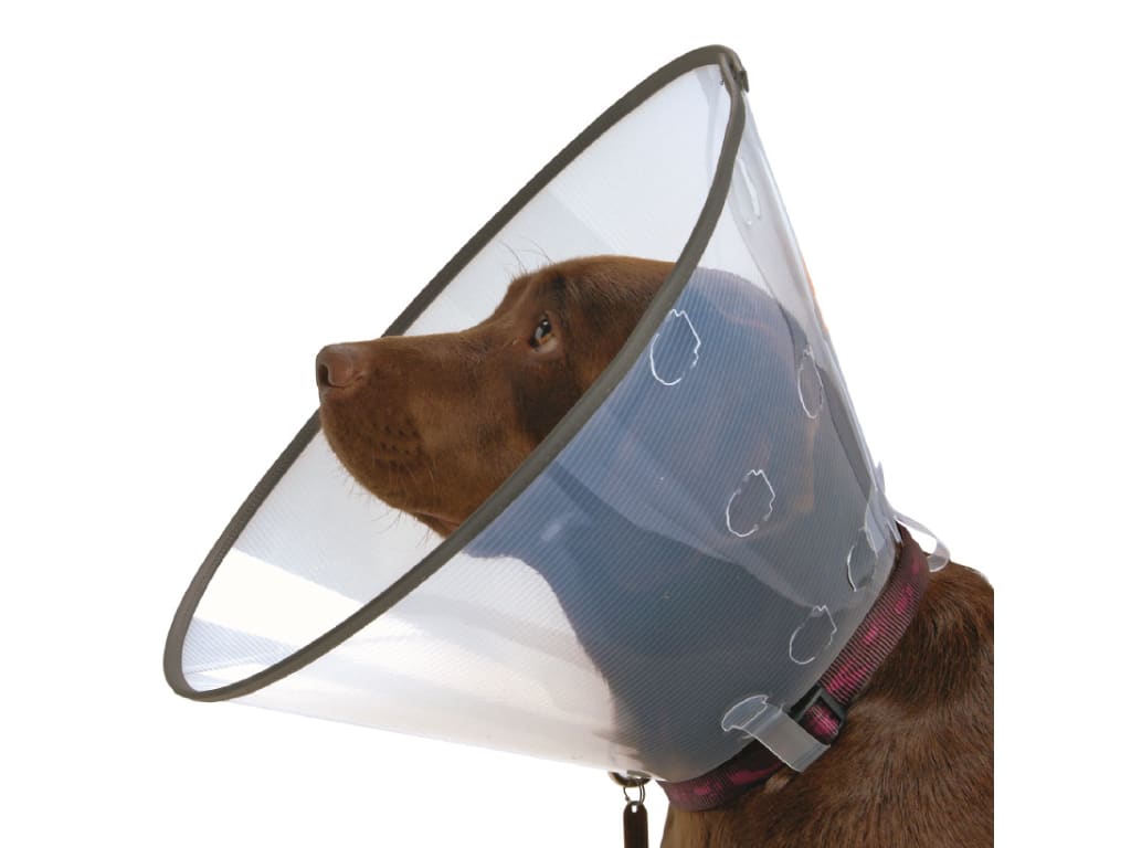 BUSTER Comfort Collar, 15cm