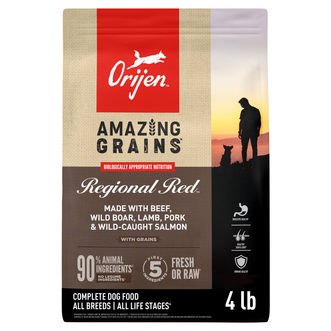 ORIJEN Amazing Grains High Protein Dry Dog Food Regional Red Recipe