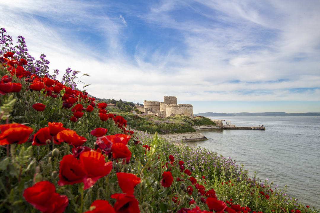 Çanakkale