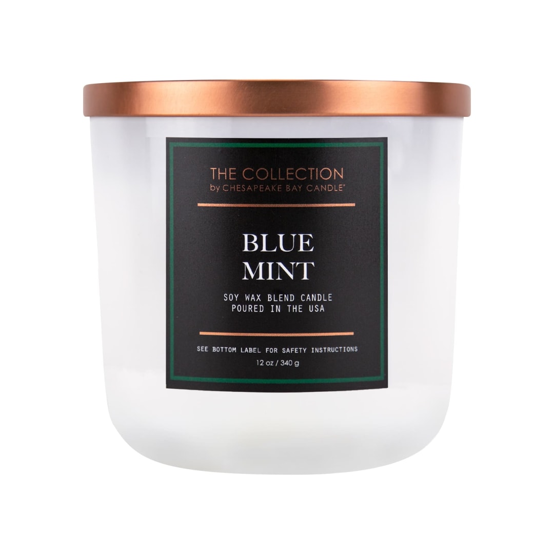 2-Wick White Glass Blue Mint Lidded Jar Candle 12oz - The Collection by Chesapeake Bay Candle
