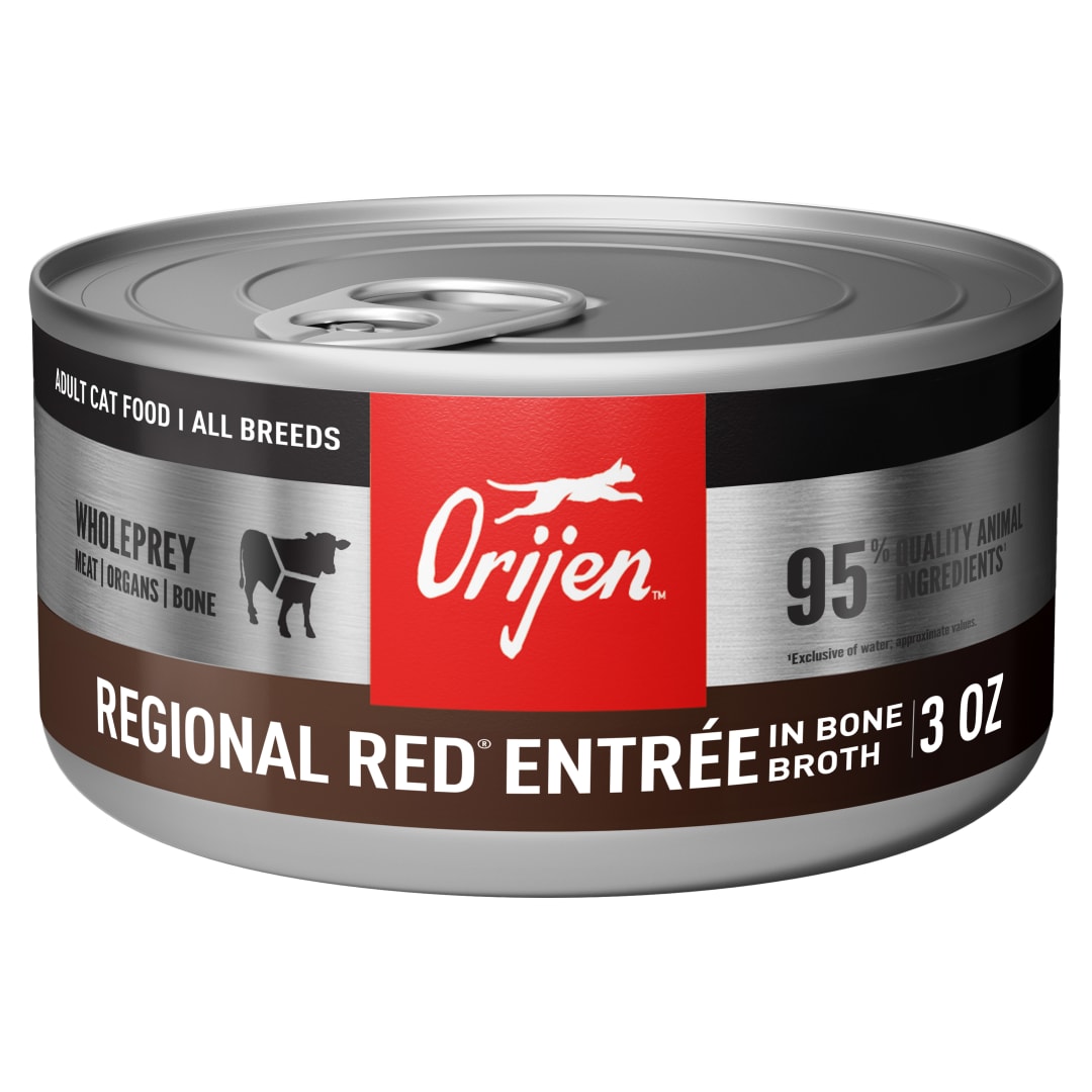 ORIJEN Premium Pate Wet Cat Food in Bone Broth Regional Red Entrée