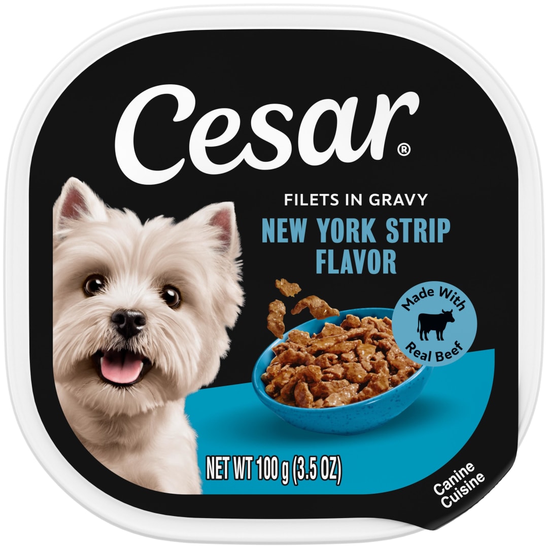 CESAR Adult Soft Wet Dog Food Filets in Gravy New York Strip Flavor, (24) 3.5 oz. Trays