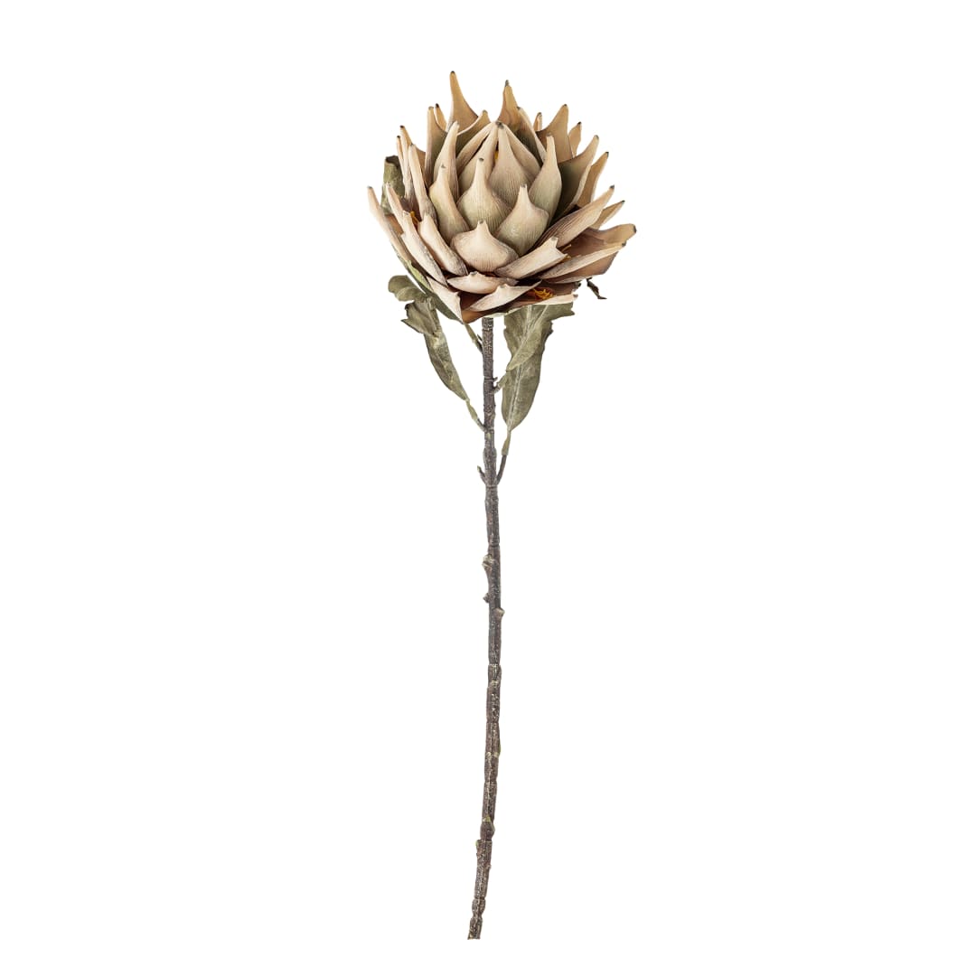 82061468 - Protea Stem, Nature, Artificial Flowers STOCK: 300