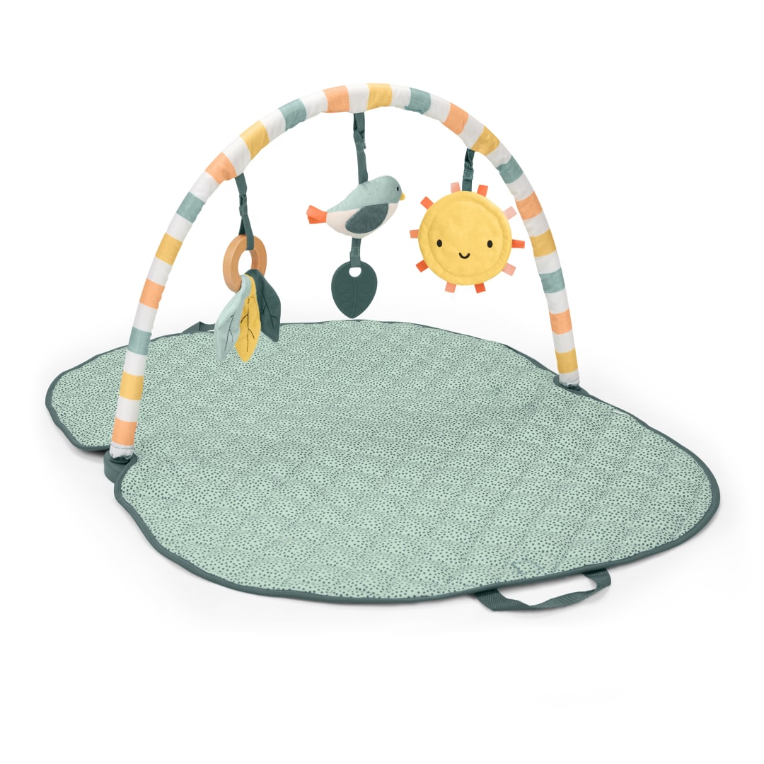 ING SUNNY NEST ACTIVITY GYM