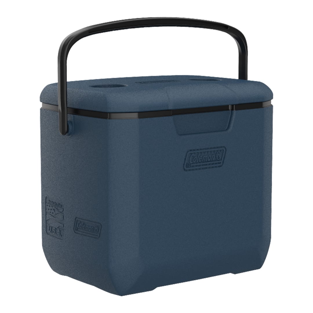 CHILLER COOLER 30QT 5879 SAP/B/SAP C4