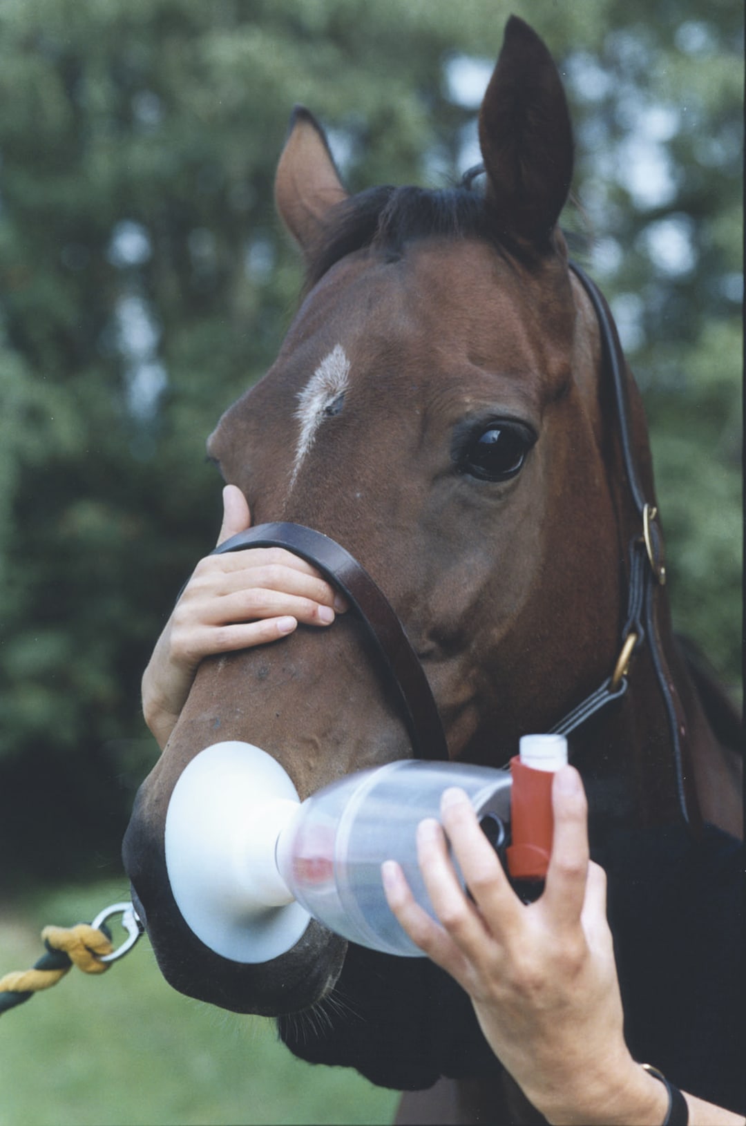 KRUUSE Equine Haler Inhalation Spacer / Mask