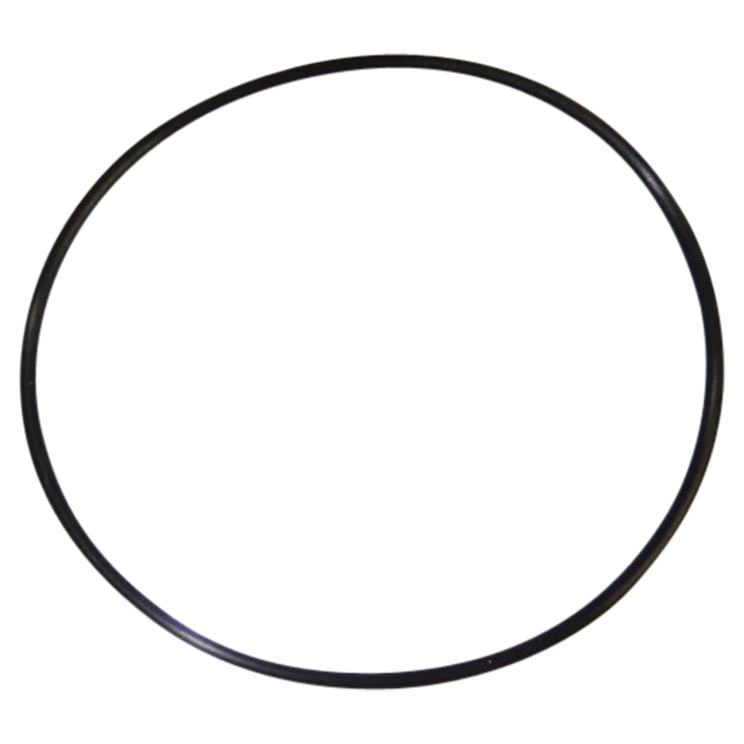 Wastebuilt® Replacement for McNeilus O-Ring Filter In Tank
