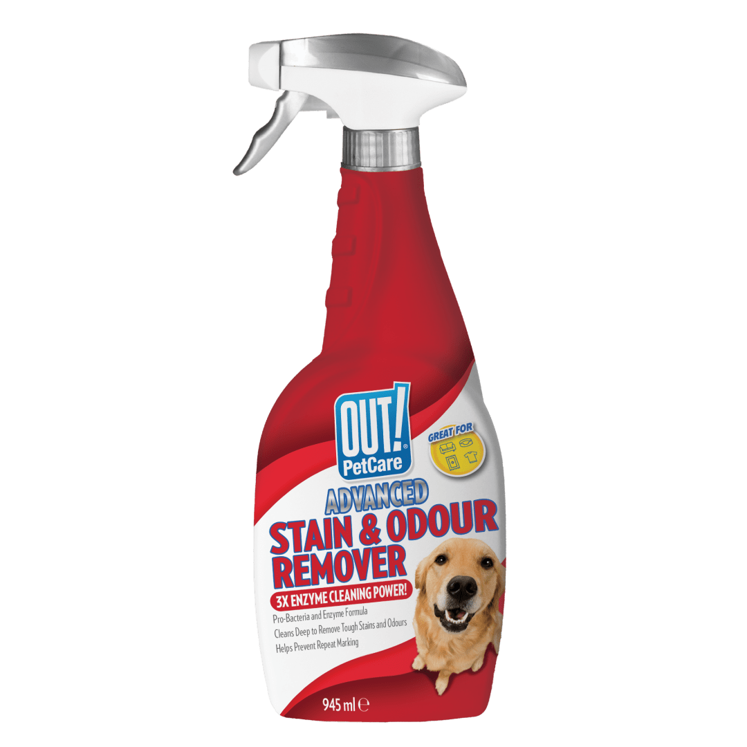 OUT! PetCare Advanced Stain & Odour Remover - Dog - 945ml