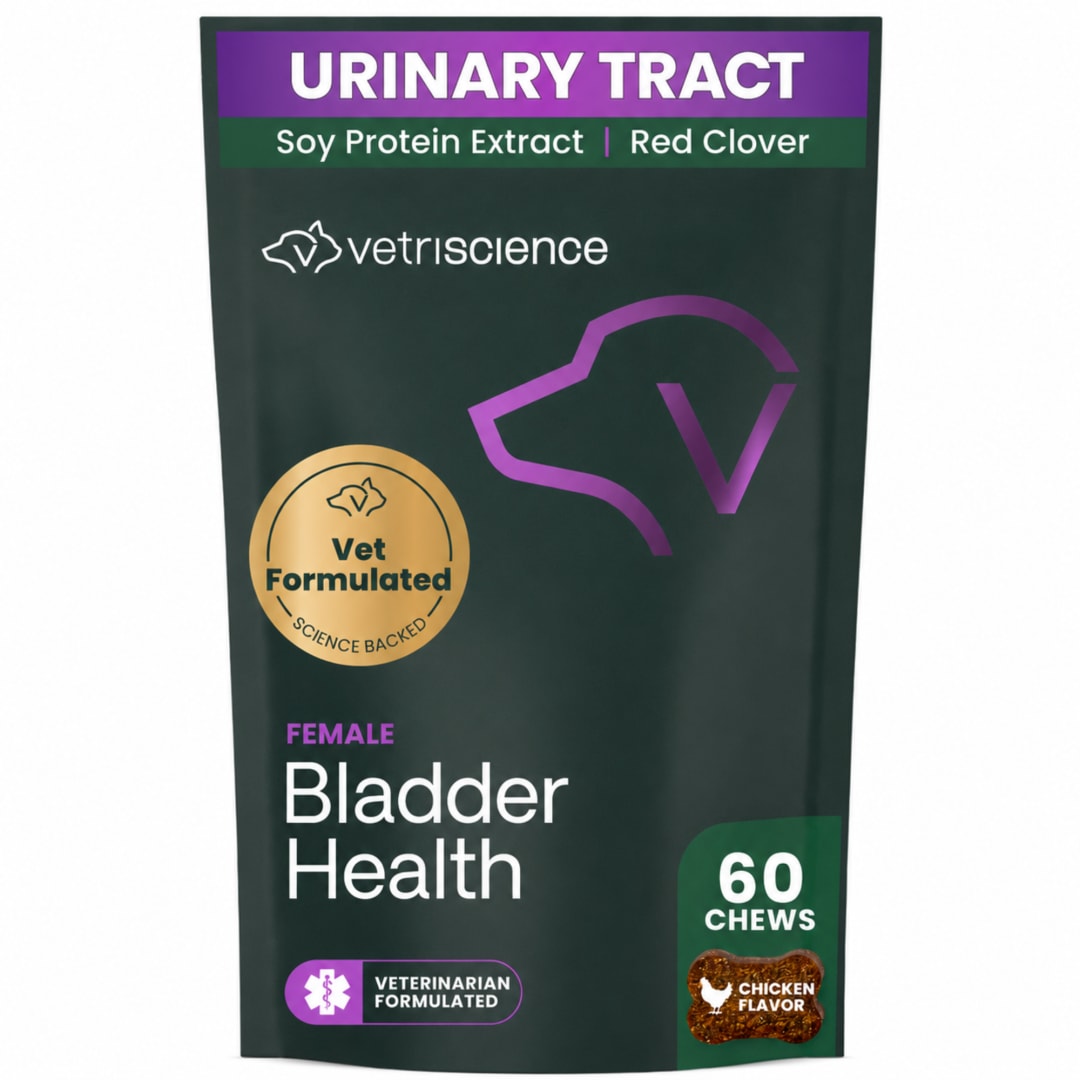 VS Bladder Health Chews, Dogs, Chicken, 60ct