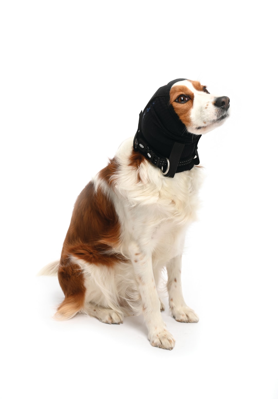 BUSTER Ear Cover, X-Small